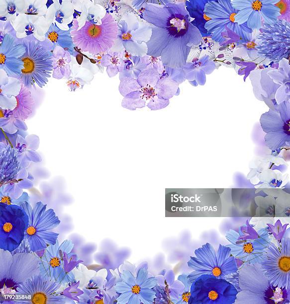 Blue Heart Shape Floral Frame Isolated On White Stock Photo - Download Image Now - Blossom, Blue, Border - Frame