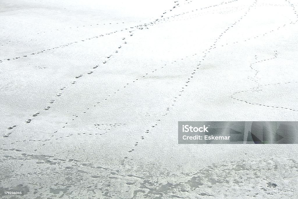 snow Cold Temperature Stock Photo