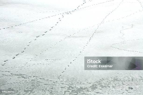 Snow Stock Photo - Download Image Now - Cold Temperature, December, Footprint