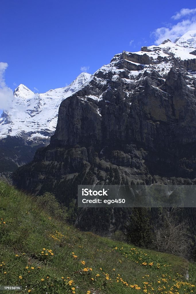 Alpes suíços - Royalty-free Alpes Europeus Foto de stock