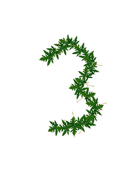 istock Number 3  of green leaves 179236185