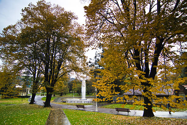 parque de doña casilda. bilbao. vizcaya. españa. - otono imagens e fotografias de stock