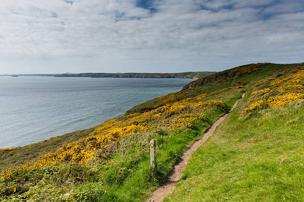 pembrokeshire coast weg newgale und rickets head - wales south wales coastline cliff stock-fotos und bilder