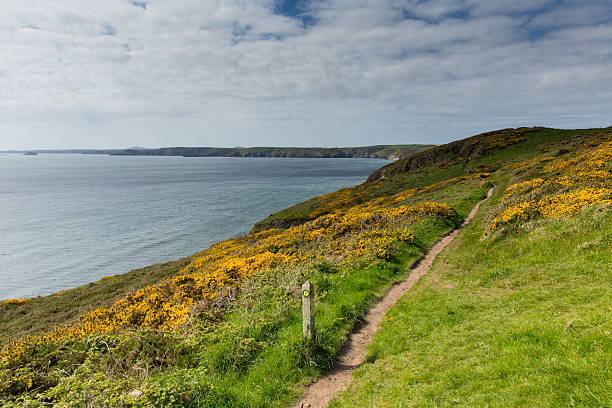 istock Pembrokeshire coast path towards Newgale and Rickets Head 179237068