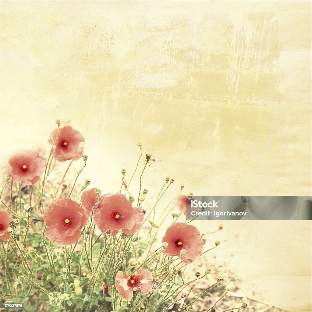 poppies en papel antiguo, fondo vintage - Foto de stock de Aire libre libre de derechos