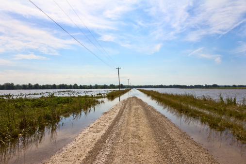A rural road leads into flooded fields along the Mississippi River.