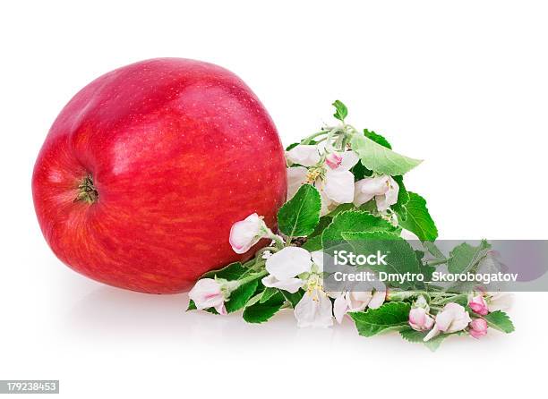 Flor De Macieira - Fotografias de stock e mais imagens de Branco - Branco, Cabeça de Flor, Comida