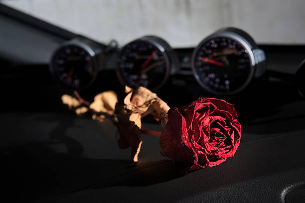 istock beautiful dry red rose on sport car console 179238546