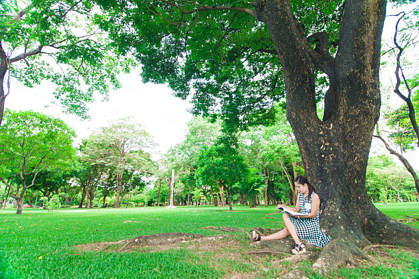 istock Woman reading a book against big tree 179240119