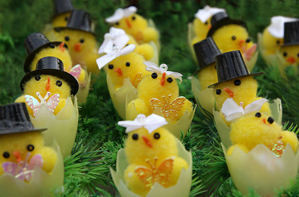 Wedding of chicken dolls on Easter stock photo