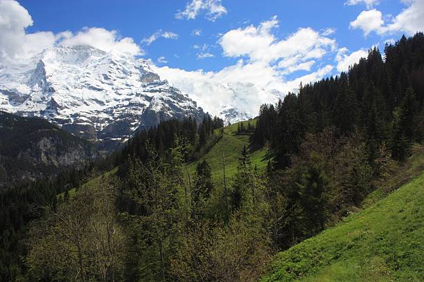 suiza - switzerland interlaken schreckhorn mountain fotografías e imágenes de stock