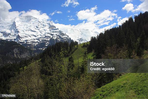 Photo libre de droit de Suisse banque d'images et plus d'images libres de droit de Alpes européennes - Alpes européennes, Arbre, Colline