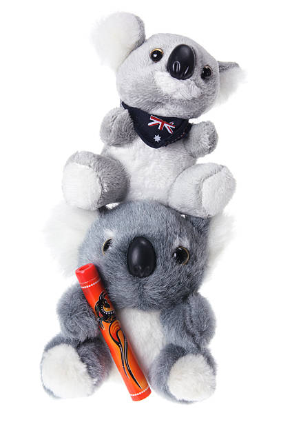 koala di peluche - koala stuffed animal australia souvenir foto e immagini stock