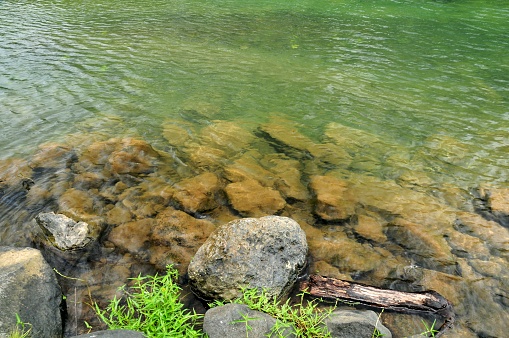 Clear river with natural light from the tropical rainforest