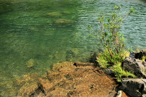 Clear river with natural light from the tropical rainforest