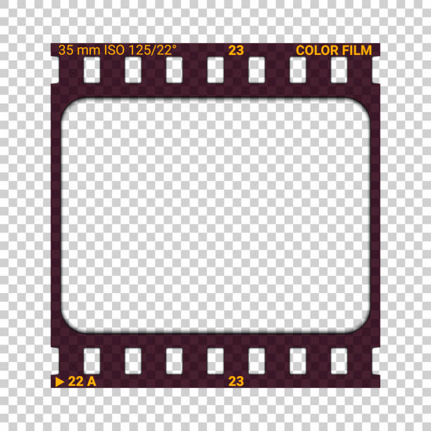 Photographic film slide with double perforations, 35mm width. Realistic vector illustration. Photographic film slide. Realistic vector illustration with shadow on transparent background. Blank vintage photo frame. Individual sheet of transparent film with double perforations, 35mm width. positive negative slide stock illustrations