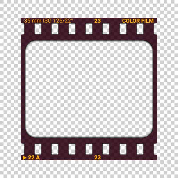 Vector illustration of Photographic film slide with double perforations, 35mm width. Realistic vector illustration.