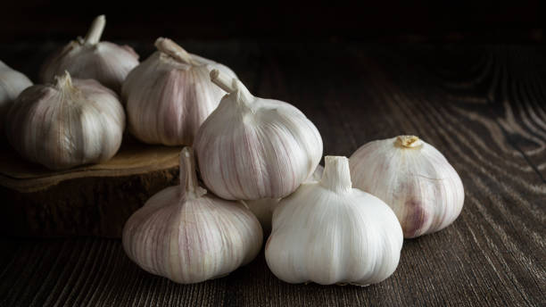 istock Dried White Garlic Seasoning Seasoning 1792429254