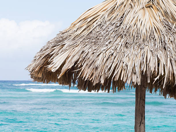 istock Palm Beach Umbrella and Ocean 179243105