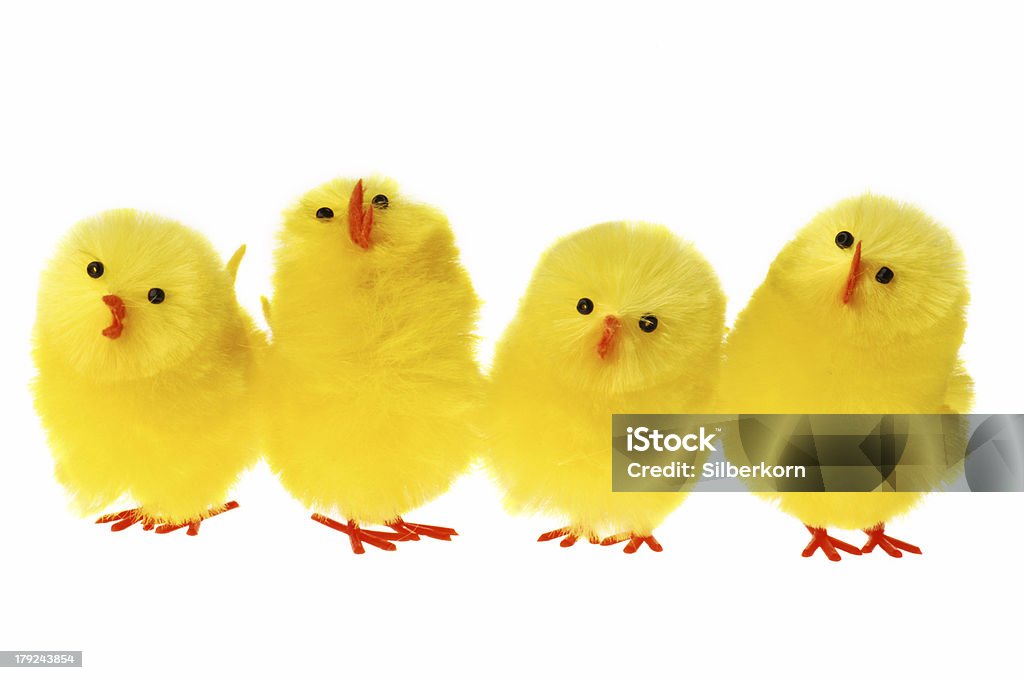 Tiny puffy Easter chicks with beaded eyes and felt beaks row of easter chicken Chicken - Bird Stock Photo