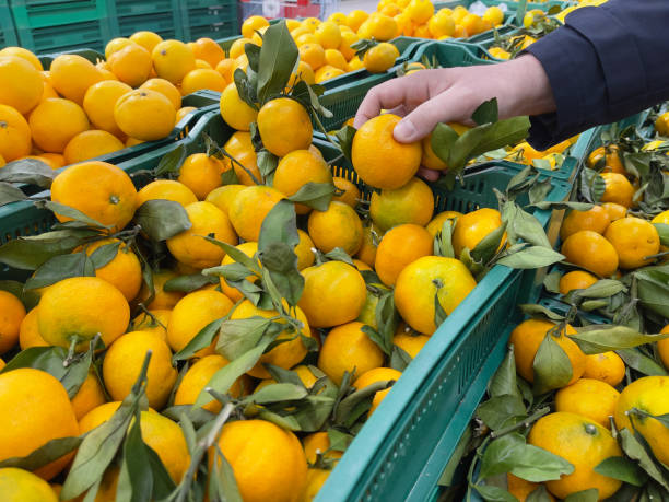 istock A man's hand with tangerines in the store. 1792439304