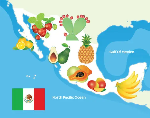 Vector illustration of Mexico Fruits Map