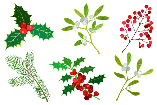 Vector set of christmas plants