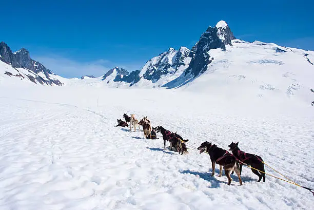 Special adventure in Alaska - Dogsled experience - Travel Destination