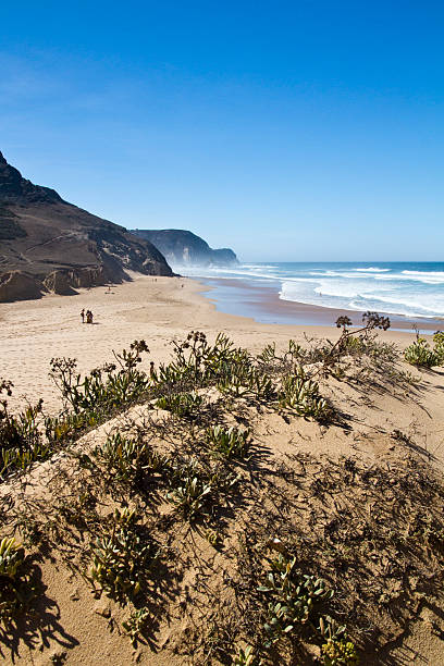istock beautiful beach in Sagres 179245440