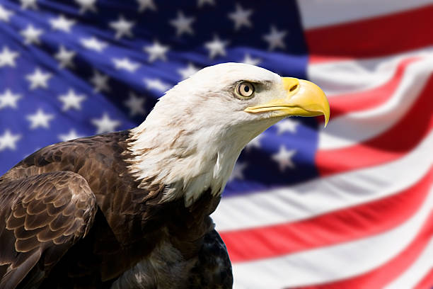 istock American symbols 179245623