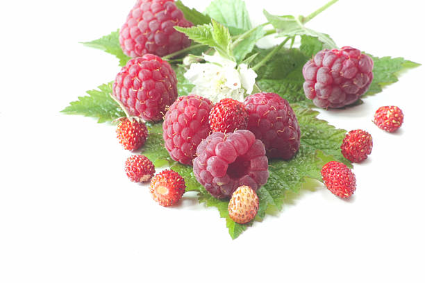 istock raspberries and wild strawberries on a leaf 179245714