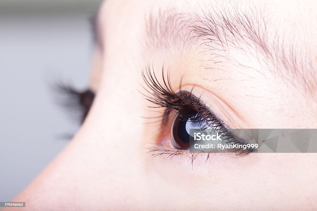 Close-up of a woman's brown eye and eyelashes Beautiful woman eye with long eyelashes. asian model Eye Stock Photo