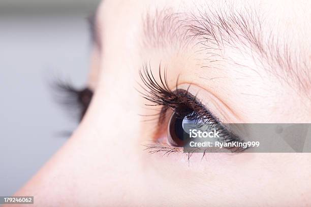 Closeup Of A Womans Brown Eye And Eyelashes Stock Photo - Download Image Now - Eye, Eyelash, Japanese Ethnicity