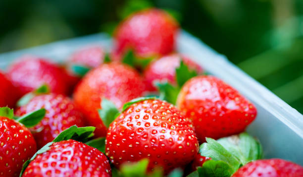 istock Many strawberries in a basket 1792461367