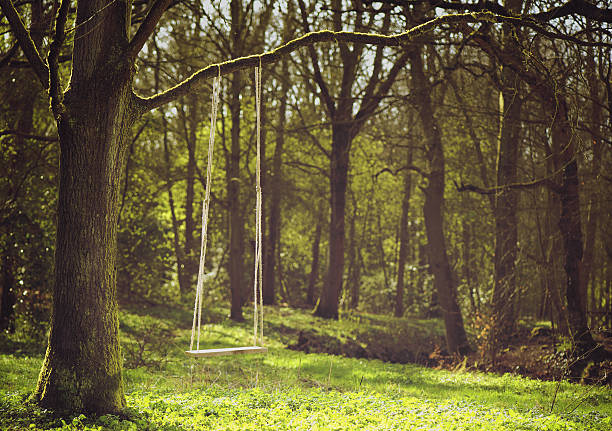 istock Romantic scene of a swing hanging from tree branch 179246303