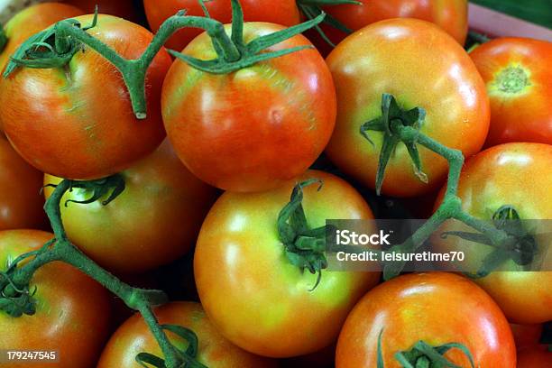 Pomodori - Fotografie stock e altre immagini di Acqua - Acqua, Agricoltura, Alimentazione sana