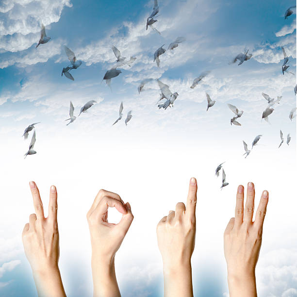 istock new year 2013 abstract with doves flying 179247714