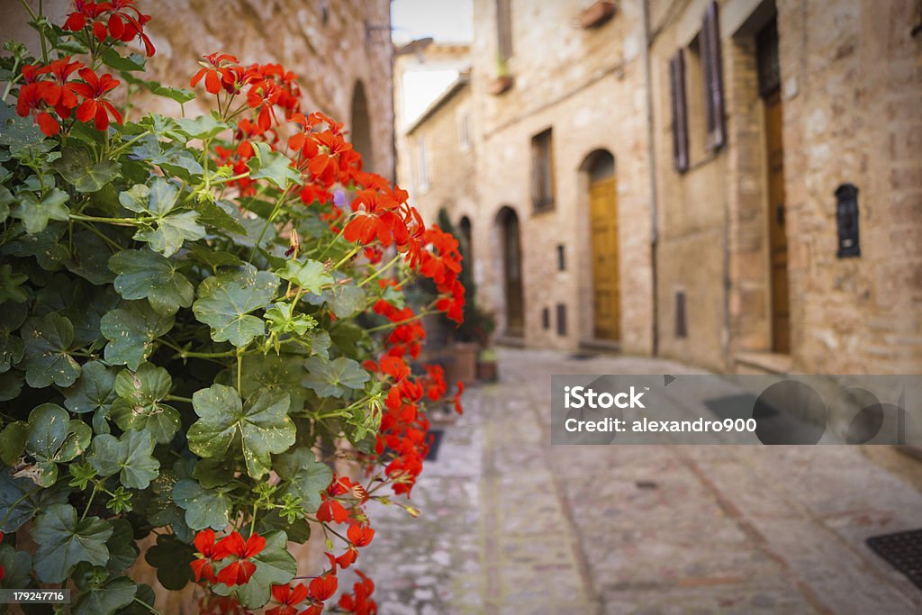 Vicolo con vaso em fiore - Foto de stock de Arcaico royalty-free