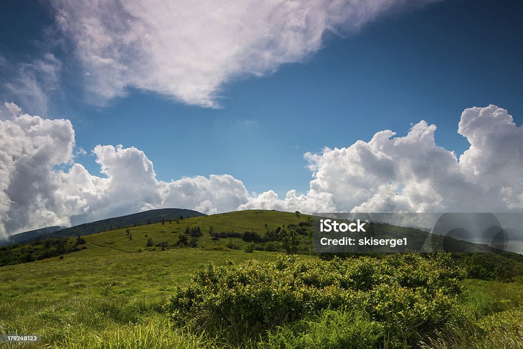 Summer at Roan Bald A Beautiful scene at Roan Mountain Bald on a sunny Summer afternoon North Carolina - US State Stock Photo