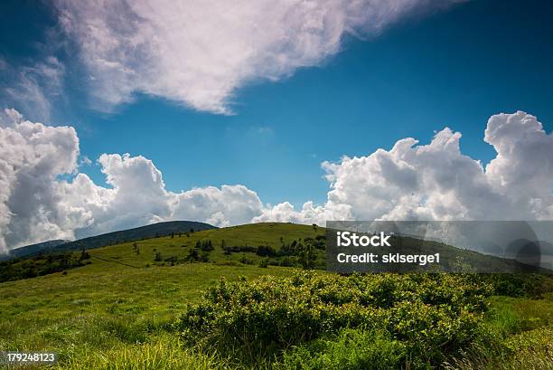 Summer At Roan Bald Stock Photo - Download Image Now - North Carolina - US State, Appalachia, Azalea