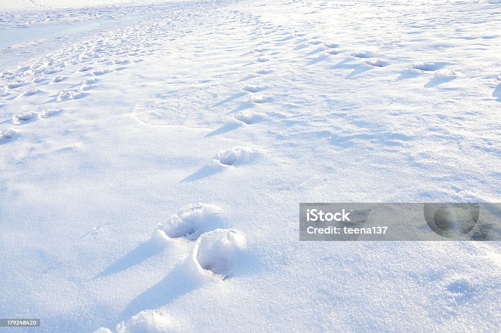 Impronta sulla neve - Foto stock royalty-free di Ambientazione esterna