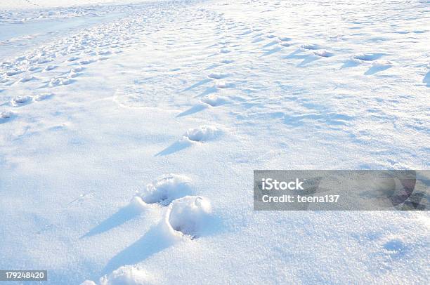 Impronta Sulla Neve - Fotografie stock e altre immagini di Ambientazione esterna - Ambientazione esterna, Blu, Brina - Acqua ghiacciata