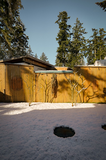 Snow at Oceanview Resort at Campbell River, Vancouver Island, BC, Canada