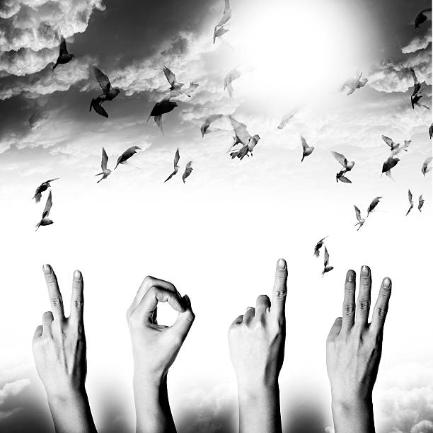 istock new year 2013 abstract with doves flying 179249656