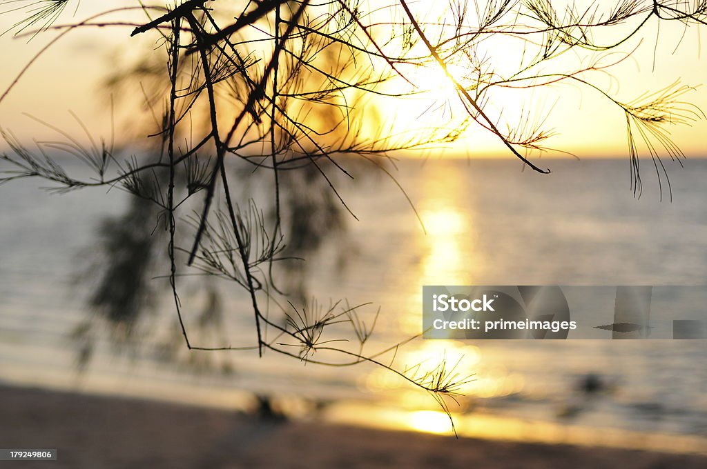Bela silhueta do pôr-do-sol no mar tropical - Foto de stock de Beleza natural - Natureza royalty-free