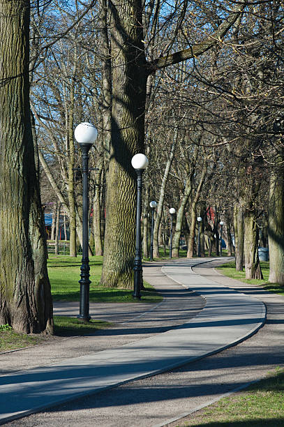 istock Avenue in park Kadriorg 179251136