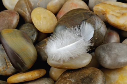 a white feather on different pebbles