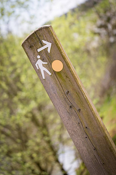 istock Wooden Sign Post 179251637