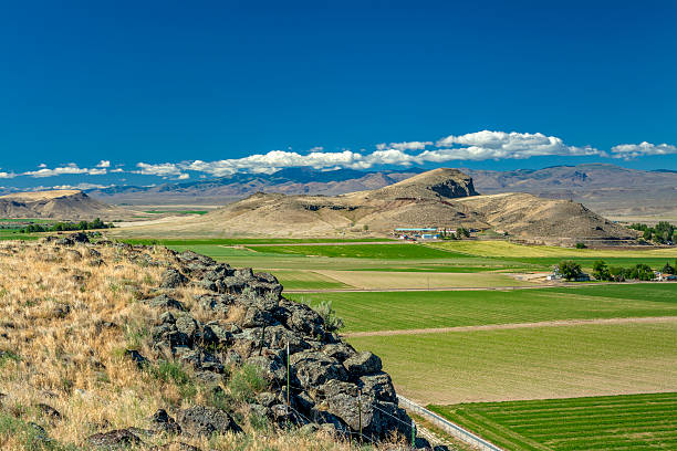 Green fields and blue sky over farm land