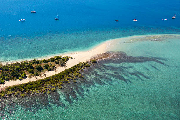 Whitsunday Island surrounded by reef stock photo